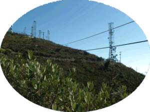 Utilities Power lines corridore fire protection