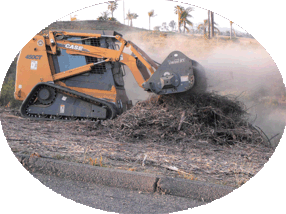 Mechanical brush clearing for Utilities