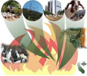 California Fire protection services 