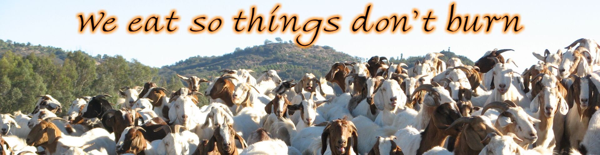 ELM Goats header, We eat so things don't burn.